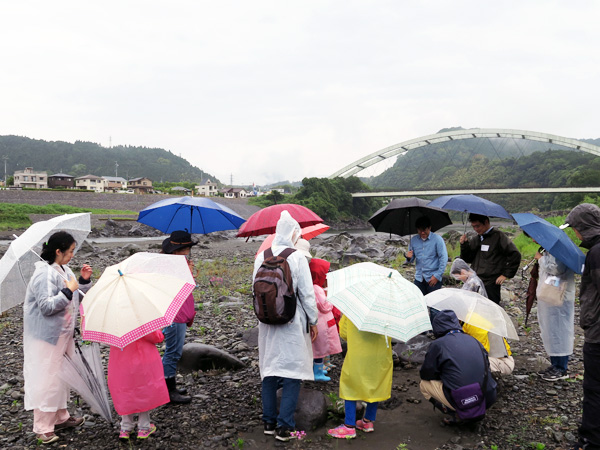 石ころ観察会