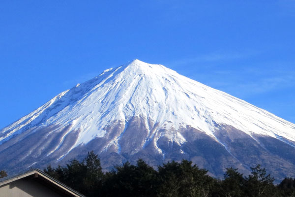 富士山展