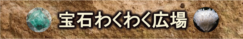 宝石わくわく広場 体験の仕方