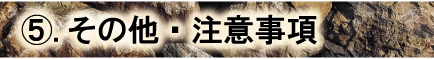 宝石わくわく広場 その他・注意事項について