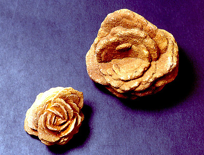 奇石博物館 収蔵品 砂漠のバラ